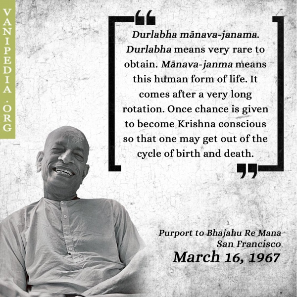 File:031667 Image-quote.jpg