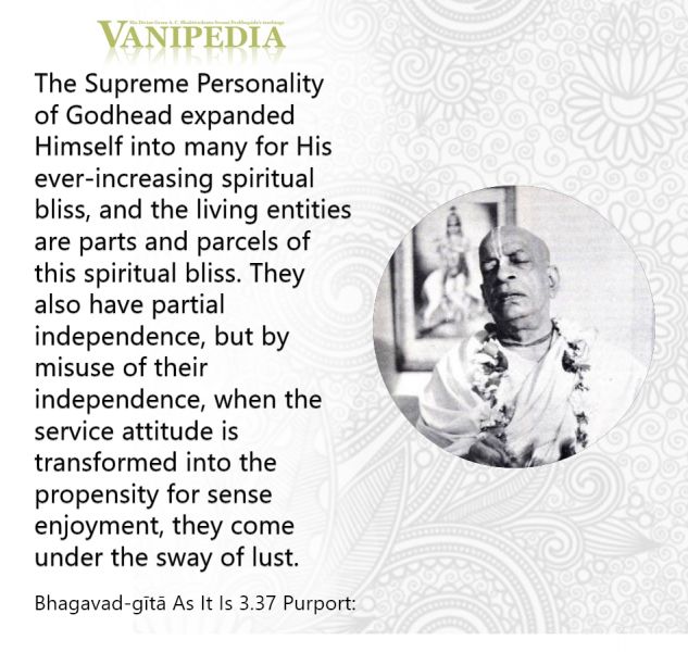 File:BG03.37e Image-quote.jpeg
