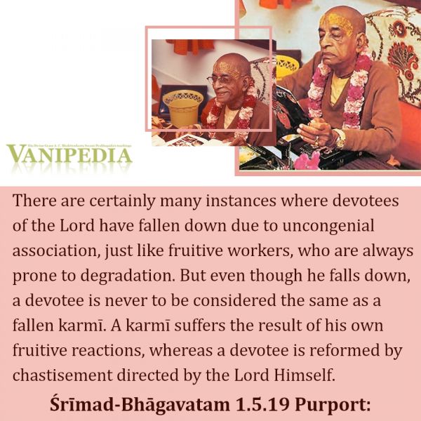 File:SB01.05.19 Image-quote.jpg