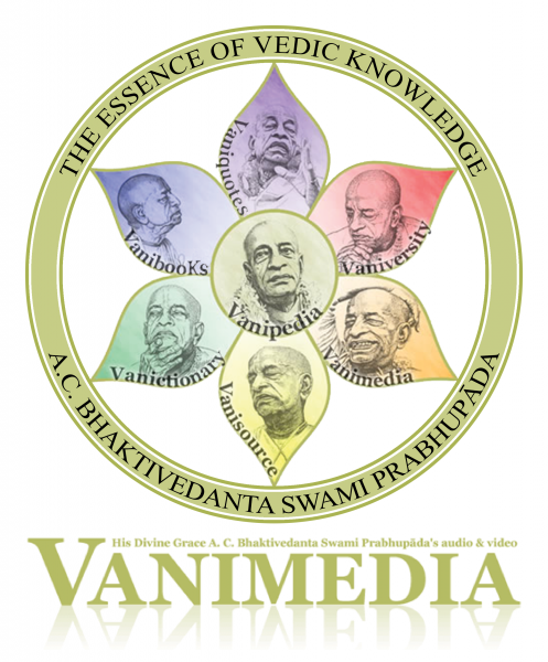 File:Vanimedia-logo-large.png