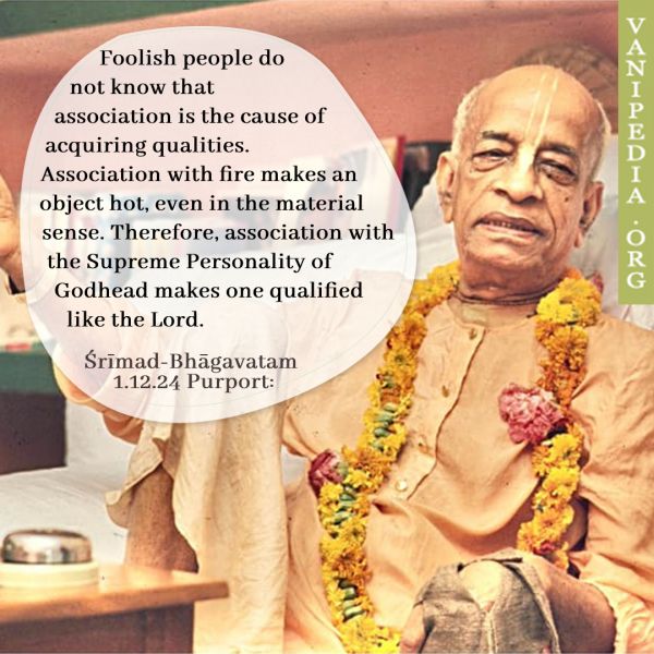 File:SB01.12.24b Image-quote.jpg