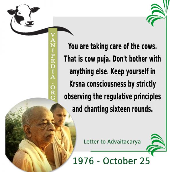 File:102576b Image-quote.jpg