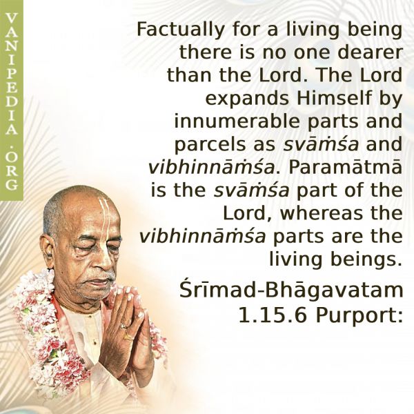 File:SB01.15.06 Image-quote.jpg