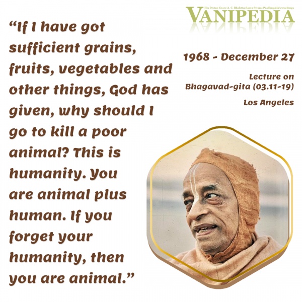 File:122768 Image-quote.jpg