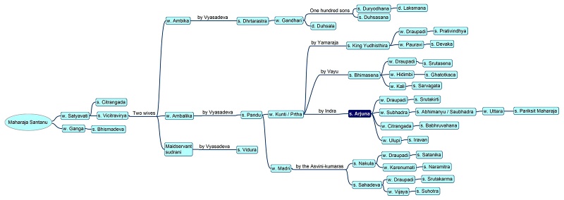 File:Arjuna-Tree-1600.jpg