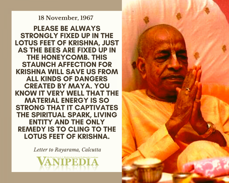 File:111867 Image-quote.png