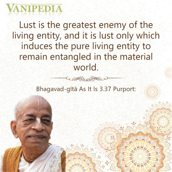 File:BG03.37c Image-quote.jpg