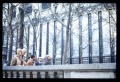 Thumbnail for version as of 09:35, 6 April 2008
