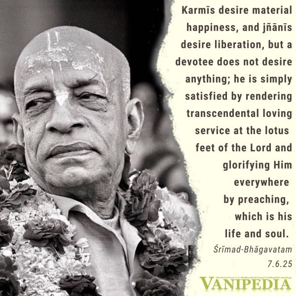 File:SB07.06.25 Image-quote.jpg