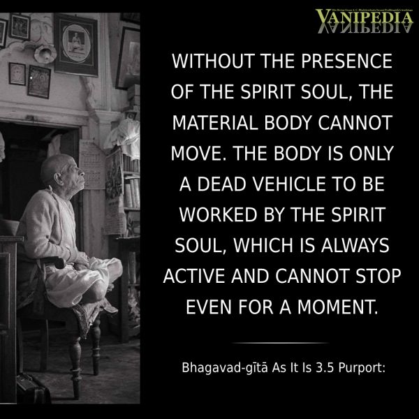 File:BG03.05 Image-quote.jpg