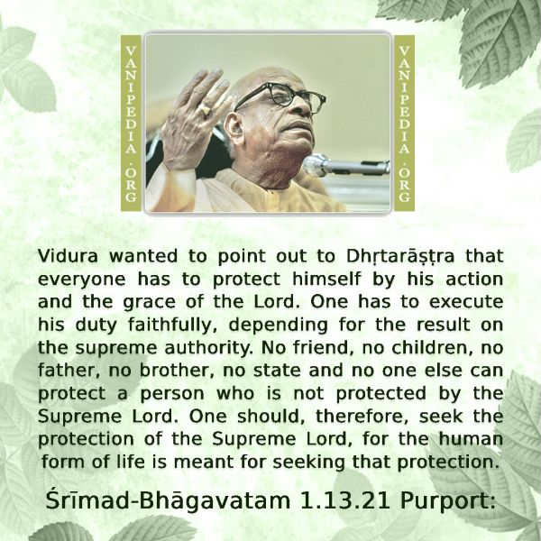 File:SB01.13.21 Image-quote.jpg