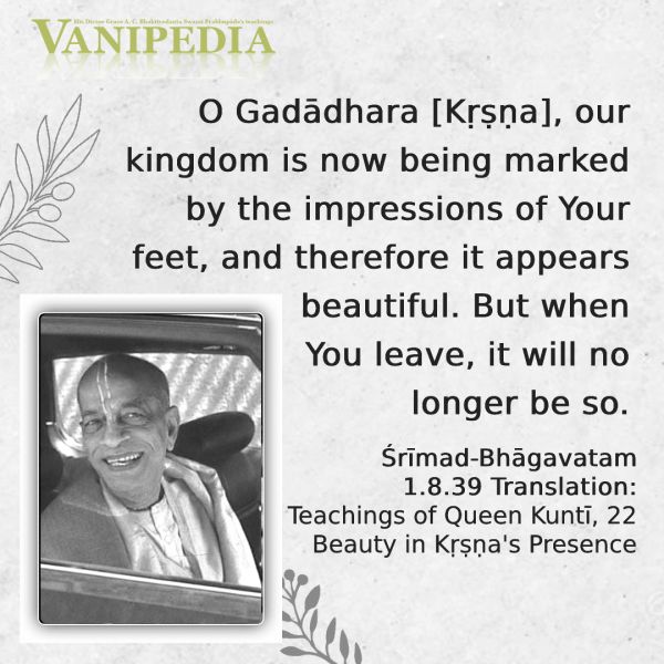 File:SB01.08.39 Image-quote.jpg