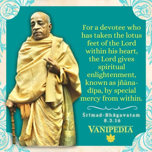 File:SB08.03.16 Image-quote.jpg