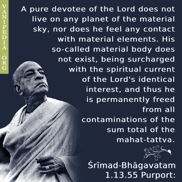 File:SB01.13.55 Image-quote.jpg