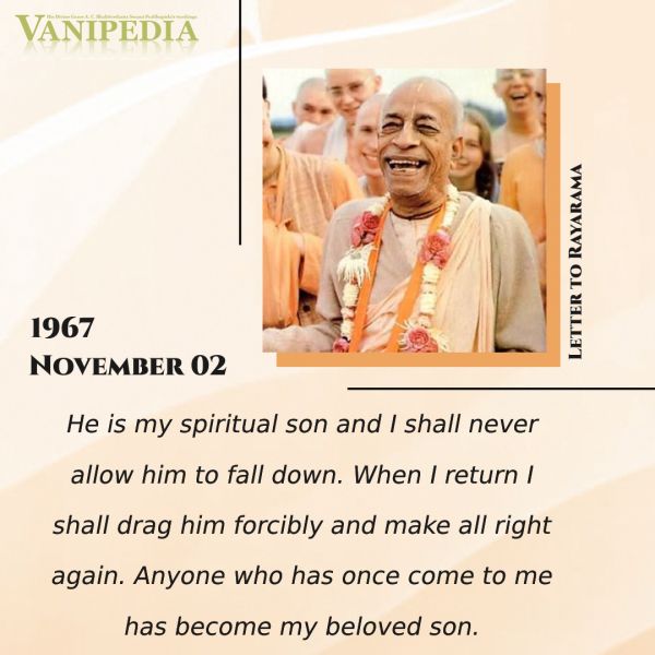 File:110267 Image quote.jpg