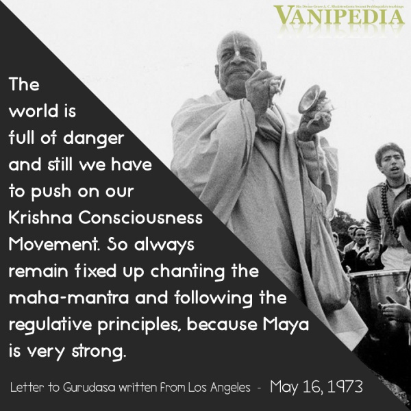 File:051673 Image-quote.jpg