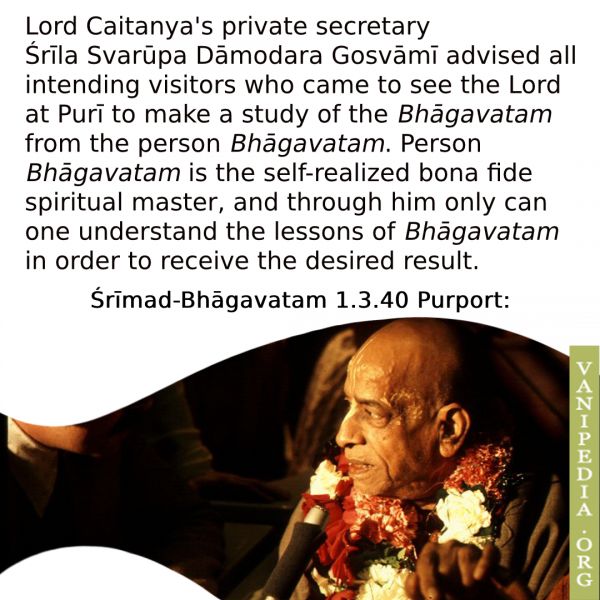 File:SB01.03.40 Image-quote.jpg