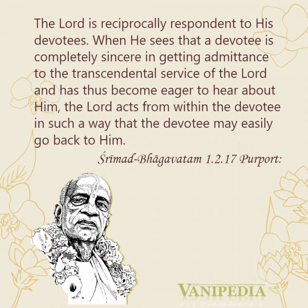 File:SB01.02.17 Image-quote.jpg