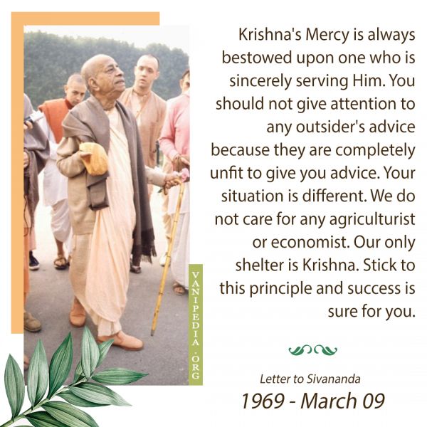 File:030969 Image-quote.jpg