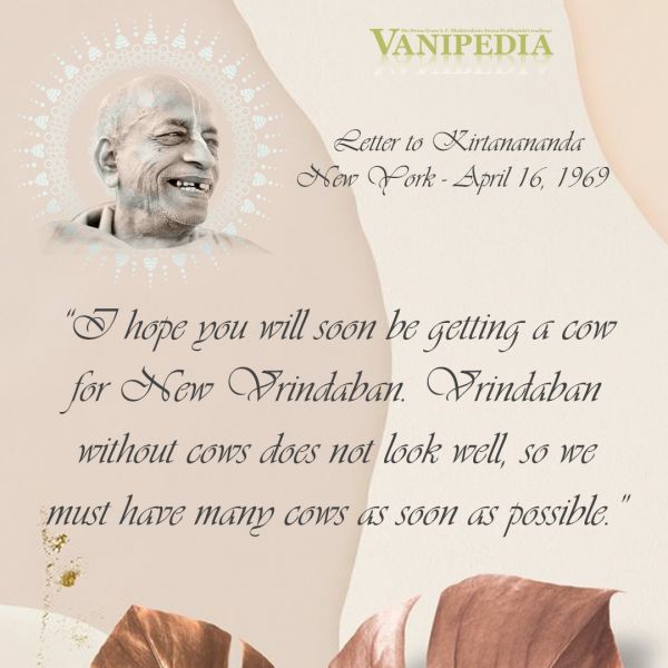 File:041669a Image-quote.jpg