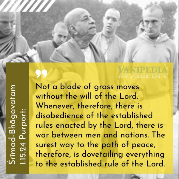 File:SB01.15.24c Image-quote.jpg