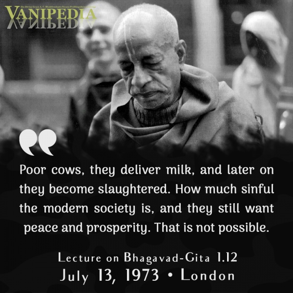 File:071373 Image-quote.jpg