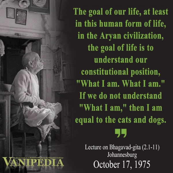 File:101775 Image-quote.jpg