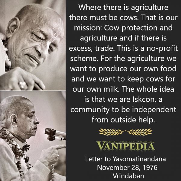 File:112876b Image-quote.jpeg