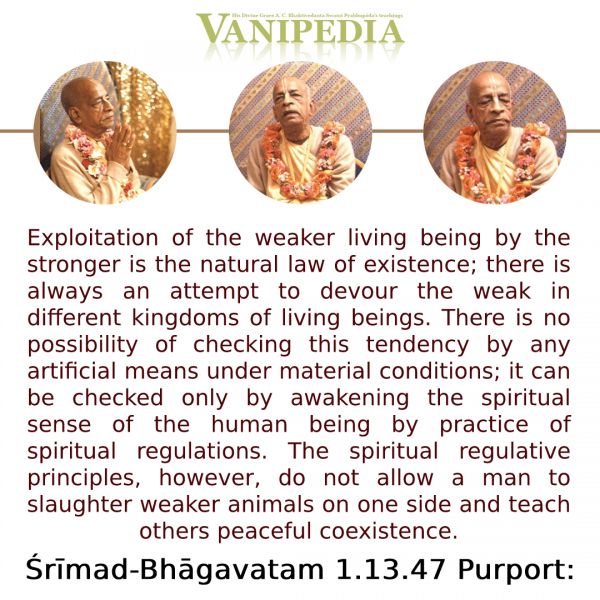 File:SB01.13.47 Image-quote.jpg