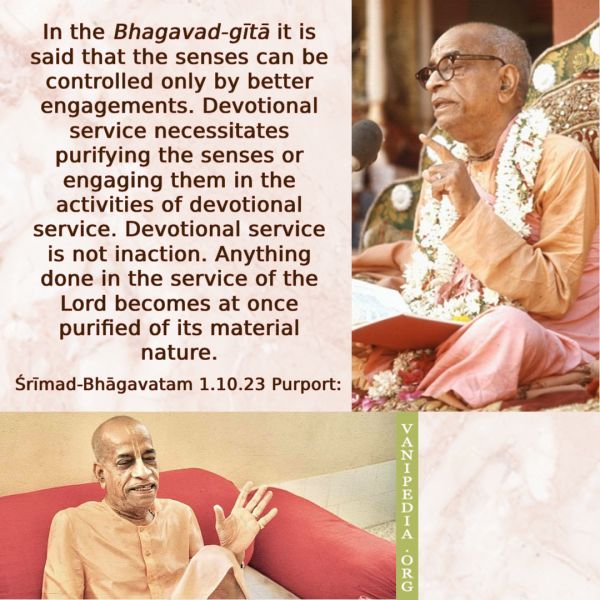 File:SB01.10.23 Image-quote.jpg