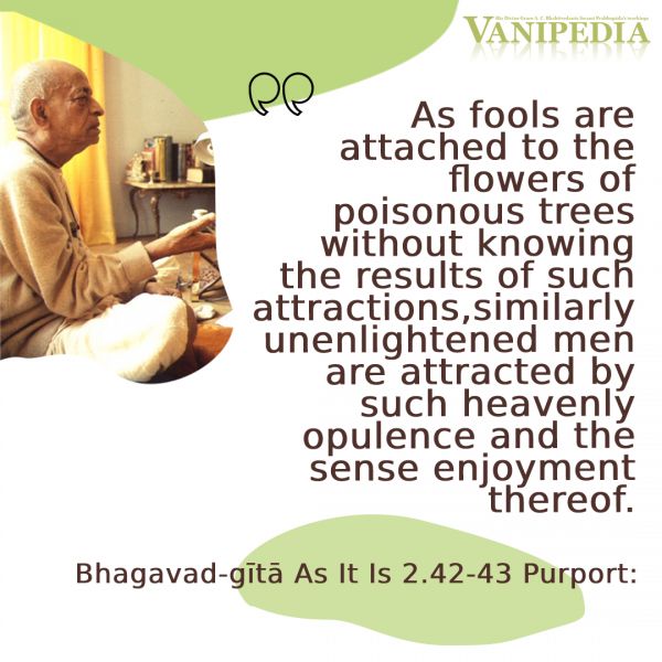 File:BG02.42-43 Image-quote.jpg