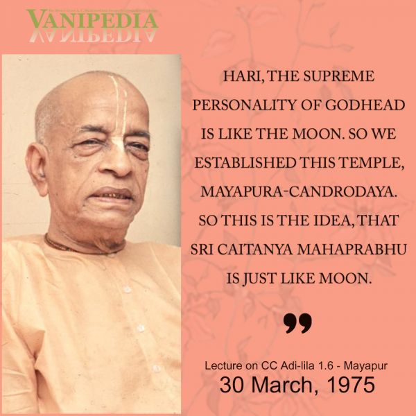 File:033075 Image-quote.jpg