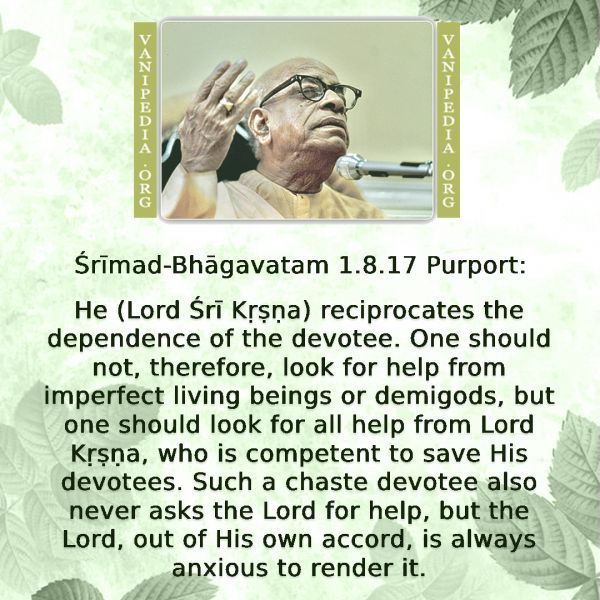 File:SB01.08.17-b Image-quote.jpg