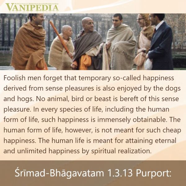 File:SB01.03.13 Image-quote.jpg