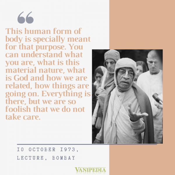 File:101073b Image-quote.png