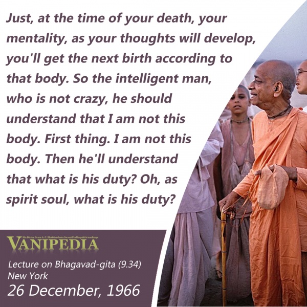 File:122666 Image-quote.jpg