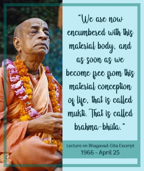File:042566 Image-quote.jpg