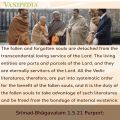 Thumbnail for version as of 14:00, 18 November 2021