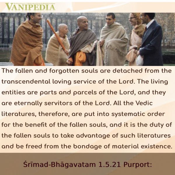 File:SB01.05.21 Image-quote.jpg