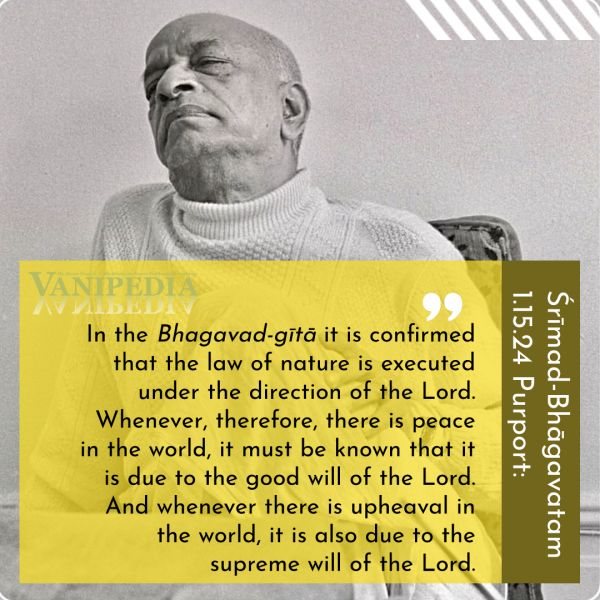 File:SB01.15.24b Image-quote.jpg