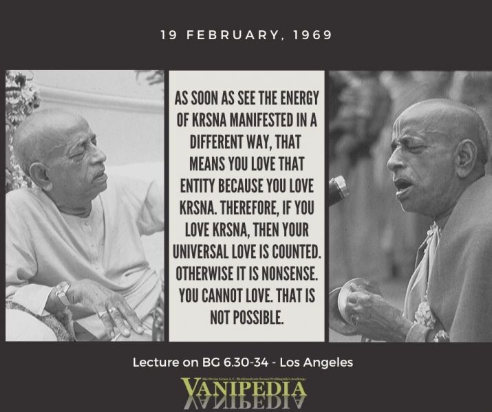 File:021969 Image-quote.jpg