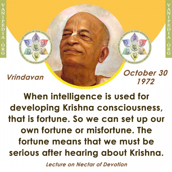 File:103072 Image-quote.jpg
