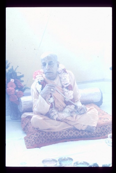 File:CT17-183.JPG