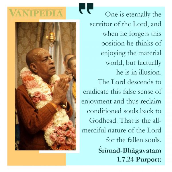 File:SB01.07.24b Image-quote.jpg