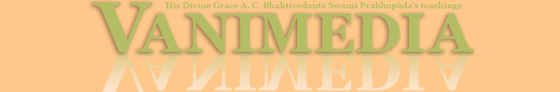 File:Vanimedia LOGO.png