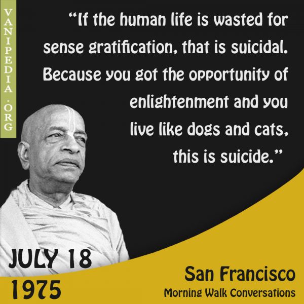File:071875 Image-quote.jpg