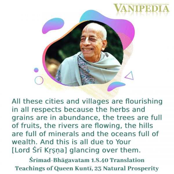 File:SB01.08.40 Image-quote.jpg