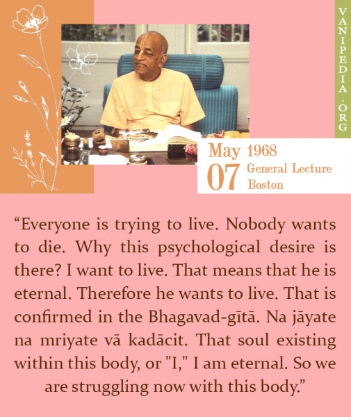 File:050768 Image-quote.jpg