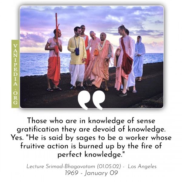 File:010969 Image-quote.jpg