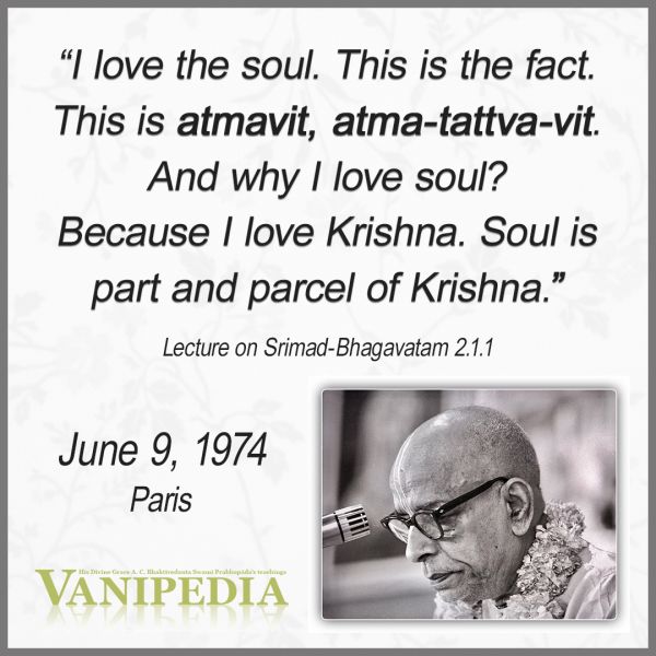 File:060974 Image-quote.jpg